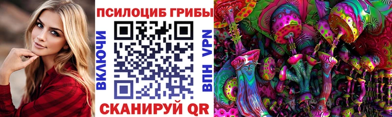 сайты даркнета телеграм  Кумертау  Галлюциногенные грибы мухоморы  KRAKEN как войти 